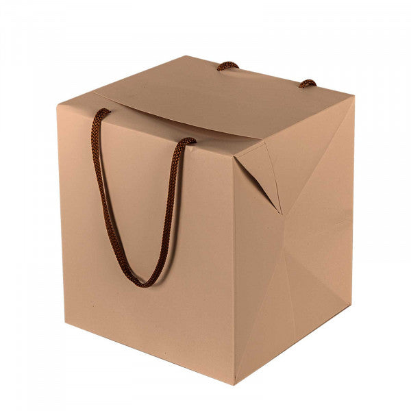 Panettone bag box with handles