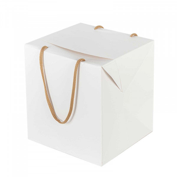 Panettone bag box with handles
